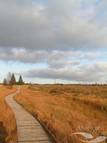 PAYS - Fagnes